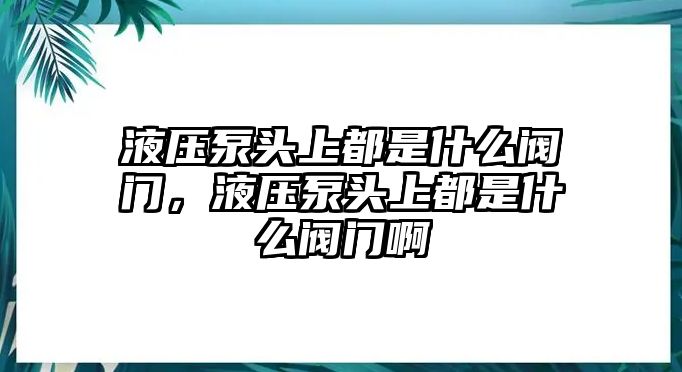 液壓泵頭上都是什么閥門，液壓泵頭上都是什么閥門啊