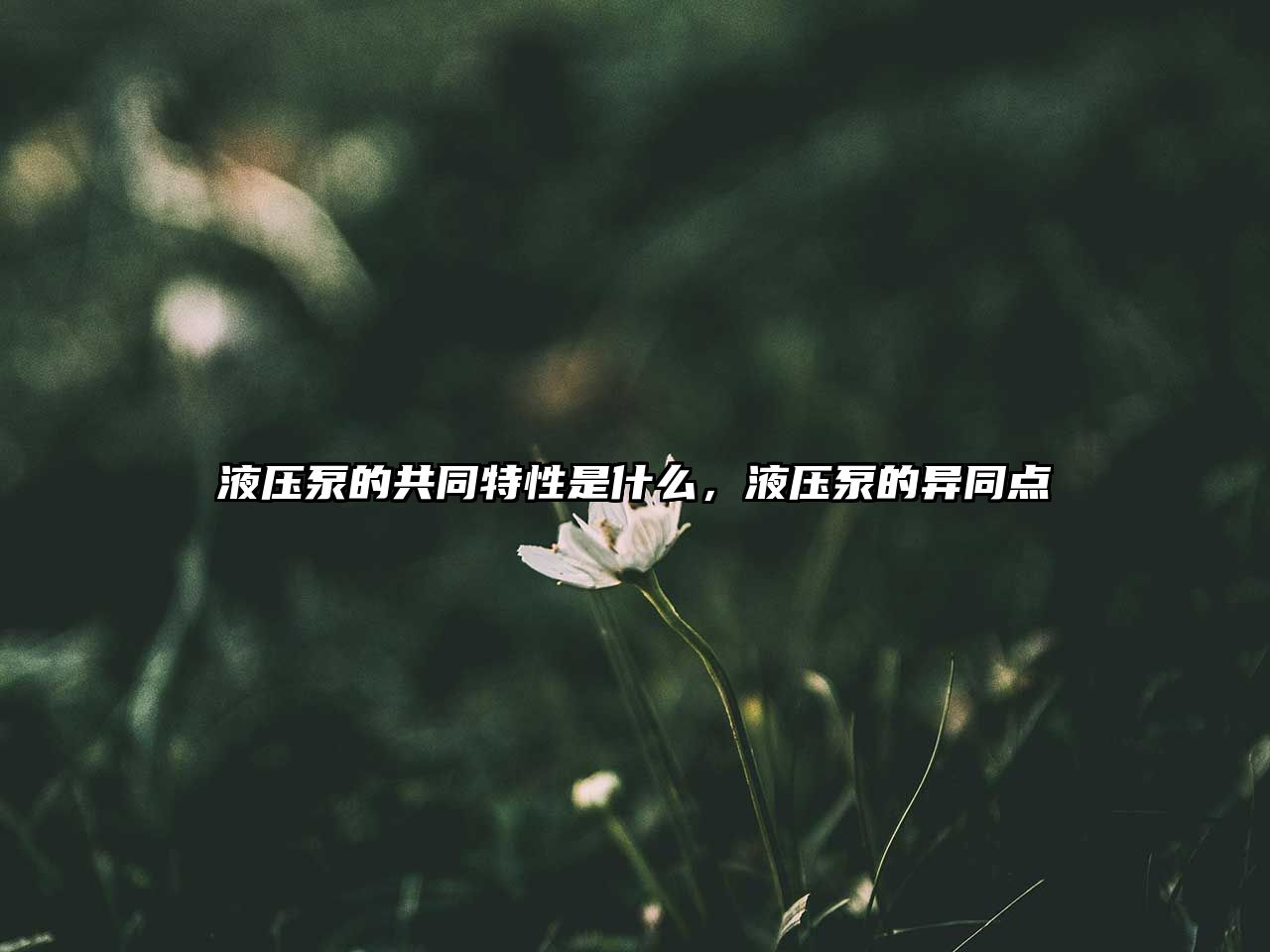 液壓泵的共同特性是什么，液壓泵的異同點(diǎn)