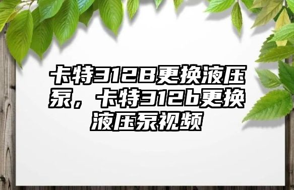 卡特312B更換液壓泵，卡特312b更換液壓泵視頻