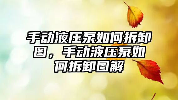 手動液壓泵如何拆卸圖，手動液壓泵如何拆卸圖解