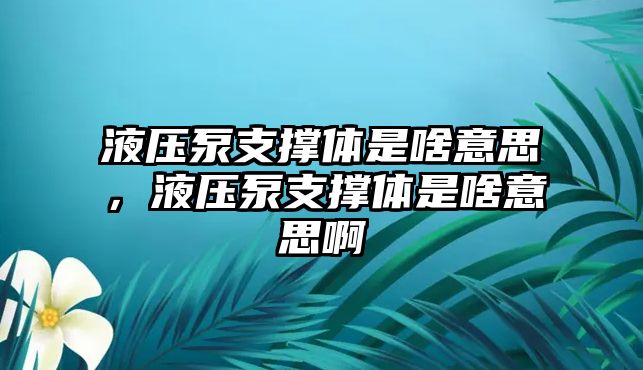 液壓泵支撐體是啥意思，液壓泵支撐體是啥意思啊