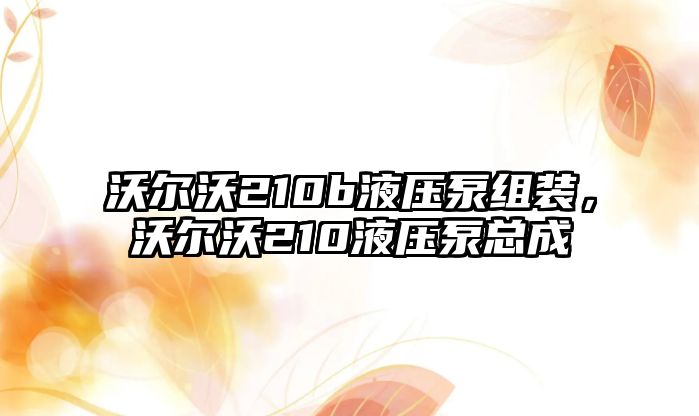 沃爾沃210b液壓泵組裝，沃爾沃210液壓泵總成