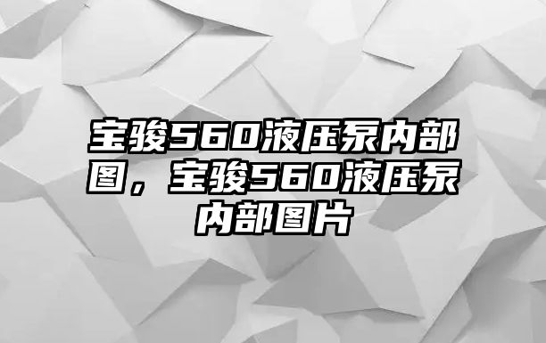 寶駿560液壓泵內(nèi)部圖，寶駿560液壓泵內(nèi)部圖片