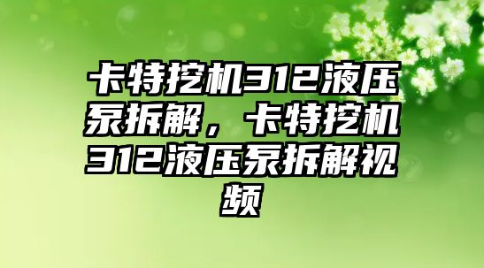 卡特挖機(jī)312液壓泵拆解，卡特挖機(jī)312液壓泵拆解視頻