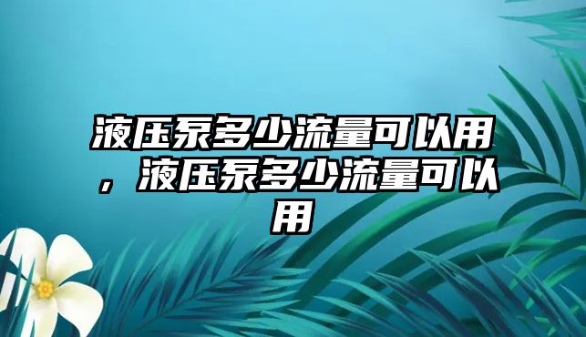 液壓泵多少流量可以用，液壓泵多少流量可以用