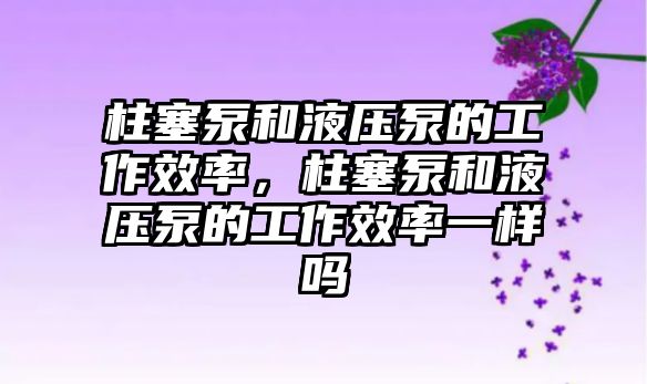 柱塞泵和液壓泵的工作效率，柱塞泵和液壓泵的工作效率一樣嗎