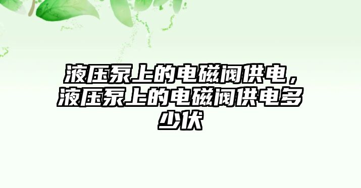 液壓泵上的電磁閥供電，液壓泵上的電磁閥供電多少伏