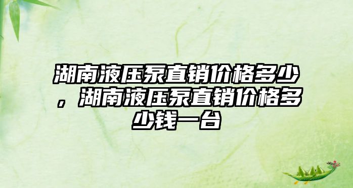 湖南液壓泵直銷價格多少，湖南液壓泵直銷價格多少錢一臺