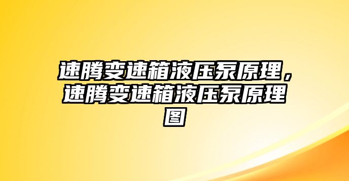 速騰變速箱液壓泵原理，速騰變速箱液壓泵原理圖