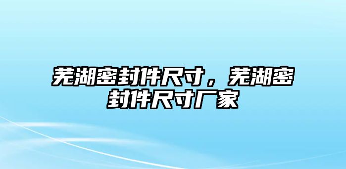 蕪湖密封件尺寸，蕪湖密封件尺寸廠家