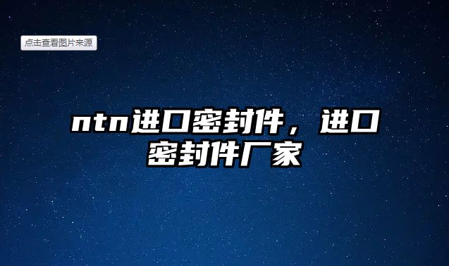 ntn進口密封件，進口密封件廠家