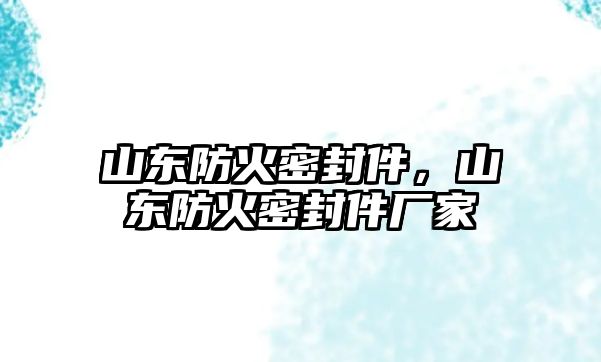 山東防火密封件，山東防火密封件廠家