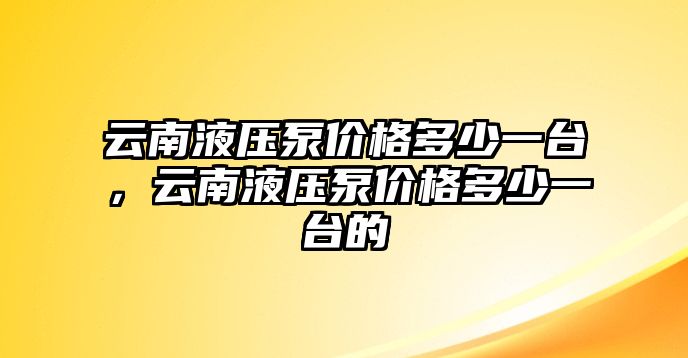 云南液壓泵價(jià)格多少一臺(tái)，云南液壓泵價(jià)格多少一臺(tái)的