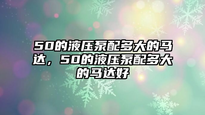 50的液壓泵配多大的馬達(dá)，50的液壓泵配多大的馬達(dá)好