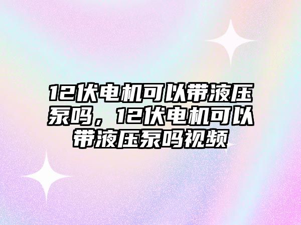 12伏電機可以帶液壓泵嗎，12伏電機可以帶液壓泵嗎視頻