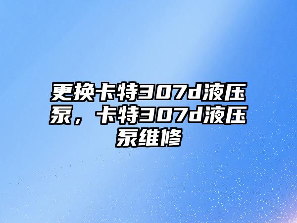 更換卡特307d液壓泵，卡特307d液壓泵維修