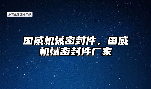 國威機(jī)械密封件，國威機(jī)械密封件廠家