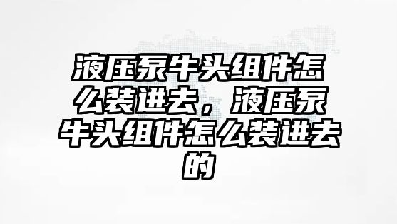 液壓泵牛頭組件怎么裝進(jìn)去，液壓泵牛頭組件怎么裝進(jìn)去的