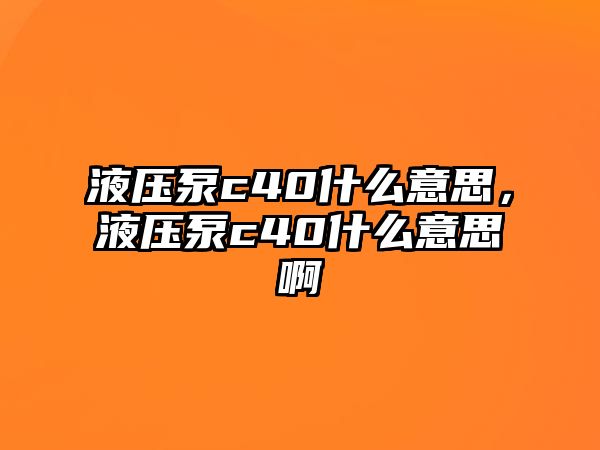 液壓泵c40什么意思，液壓泵c40什么意思啊