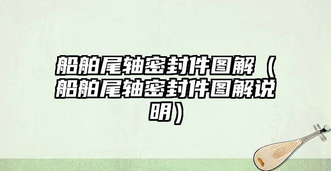 船舶尾軸密封件圖解（船舶尾軸密封件圖解說(shuō)明）