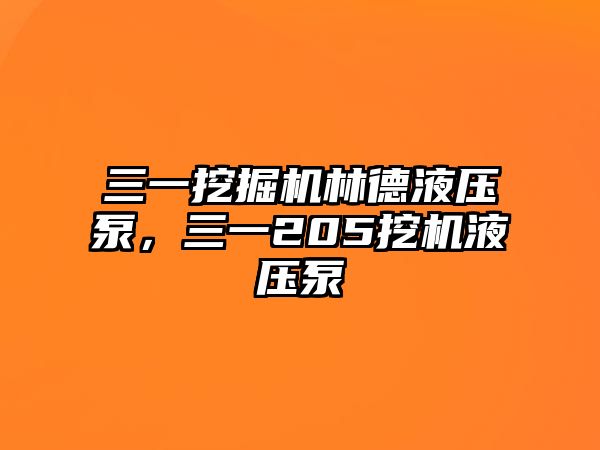 三一挖掘機(jī)林德液壓泵，三一205挖機(jī)液壓泵