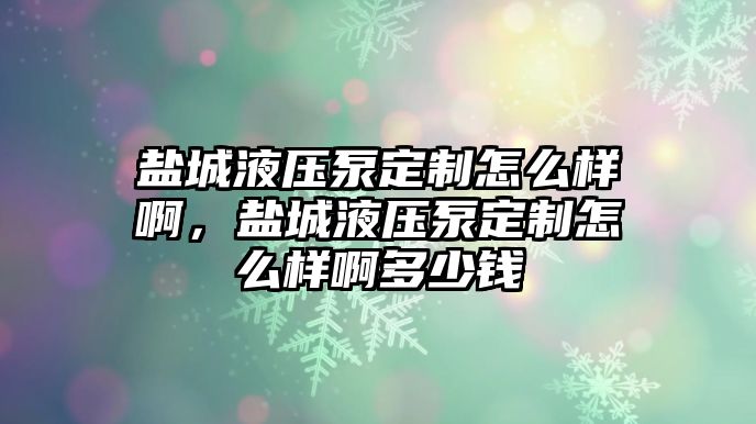 鹽城液壓泵定制怎么樣啊，鹽城液壓泵定制怎么樣啊多少錢