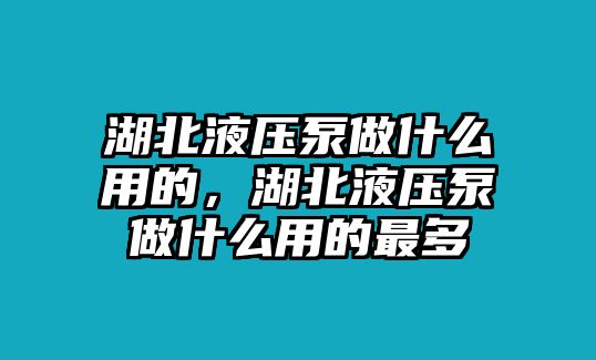 湖北液壓泵做什么用的，湖北液壓泵做什么用的最多