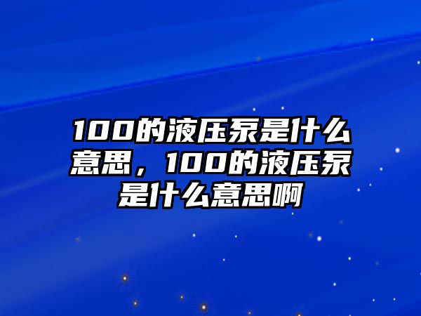 100的液壓泵是什么意思，100的液壓泵是什么意思啊