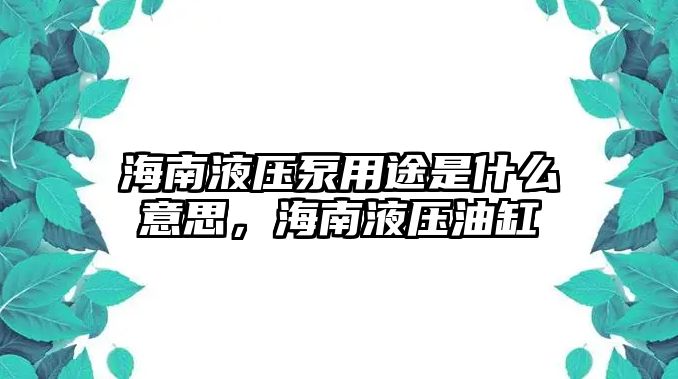 海南液壓泵用途是什么意思，海南液壓油缸