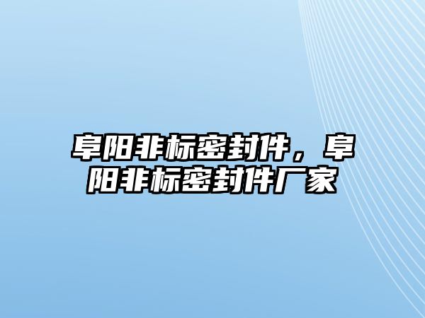 阜陽非標密封件，阜陽非標密封件廠家