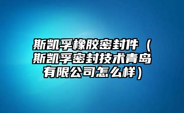 斯凱孚橡膠密封件（斯凱孚密封技術(shù)青島有限公司怎么樣）