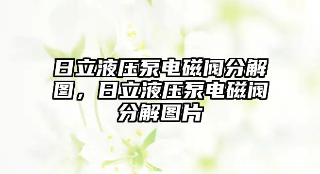 日立液壓泵電磁閥分解圖，日立液壓泵電磁閥分解圖片