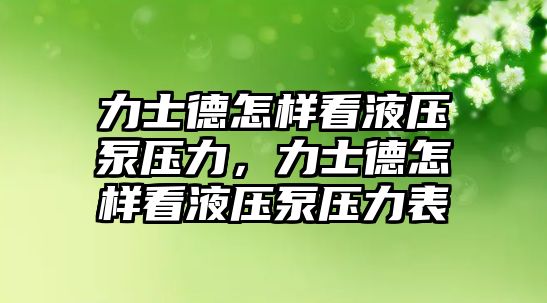 力士德怎樣看液壓泵壓力，力士德怎樣看液壓泵壓力表