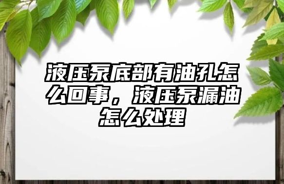 液壓泵底部有油孔怎么回事，液壓泵漏油怎么處理