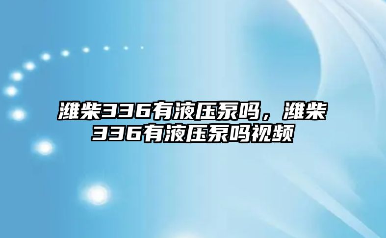 濰柴336有液壓泵嗎，濰柴336有液壓泵嗎視頻