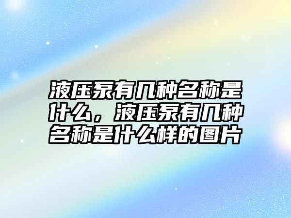 液壓泵有幾種名稱是什么，液壓泵有幾種名稱是什么樣的圖片