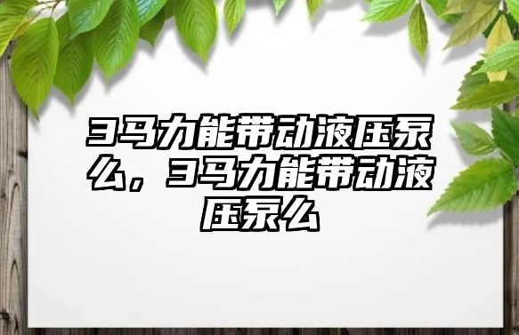 3馬力能帶動液壓泵么，3馬力能帶動液壓泵么