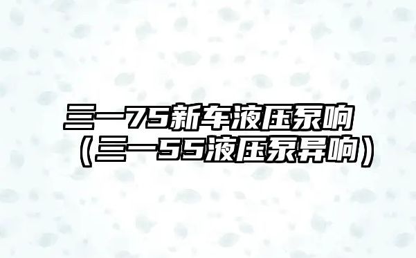 三一75新車液壓泵響（三一55液壓泵異響）