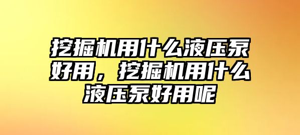 挖掘機(jī)用什么液壓泵好用，挖掘機(jī)用什么液壓泵好用呢