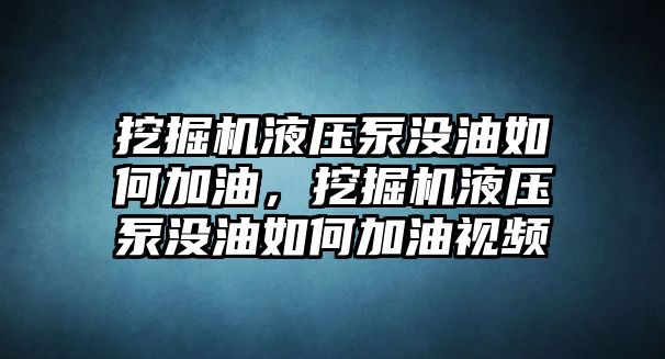 挖掘機(jī)液壓泵沒油如何加油，挖掘機(jī)液壓泵沒油如何加油視頻