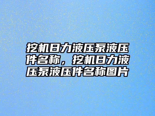 挖機(jī)日力液壓泵液壓件名稱(chēng)，挖機(jī)日力液壓泵液壓件名稱(chēng)圖片