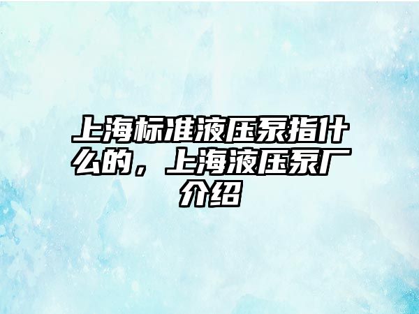 上海標(biāo)準(zhǔn)液壓泵指什么的，上海液壓泵廠介紹